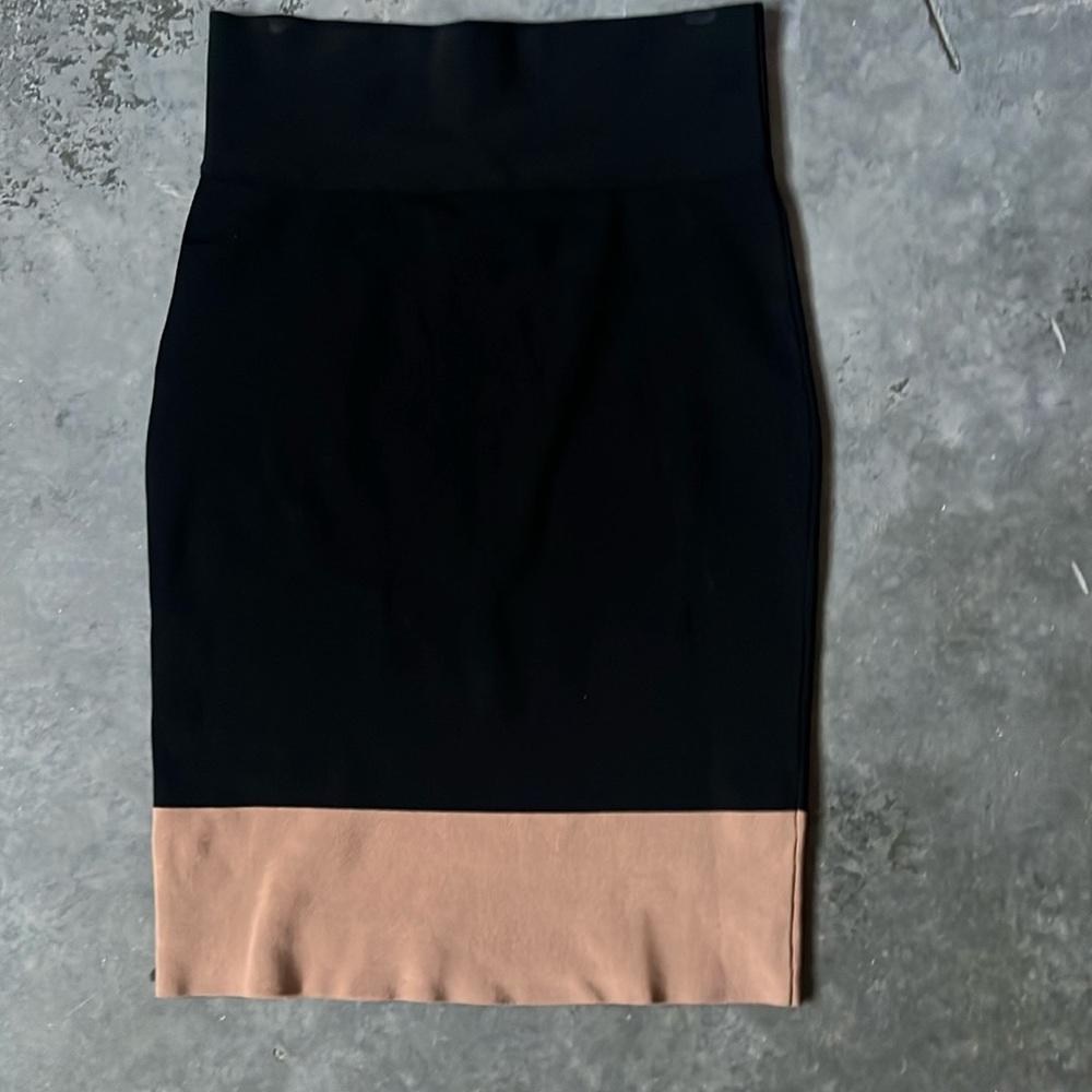 Express Pencil Skirt